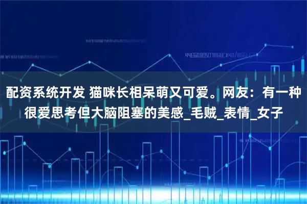 配资系统开发 猫咪长相呆萌又可爱。网友：有一种很爱思考但大脑阻塞的美感_毛贼_表情_女子