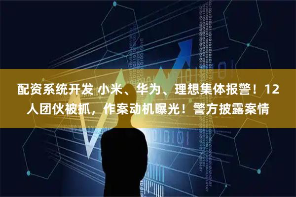 配资系统开发 小米、华为、理想集体报警！12人团伙被抓，作案动机曝光！警方披露案情