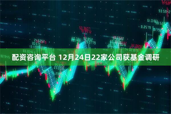 配资咨询平台 12月24日22家公司获基金调研