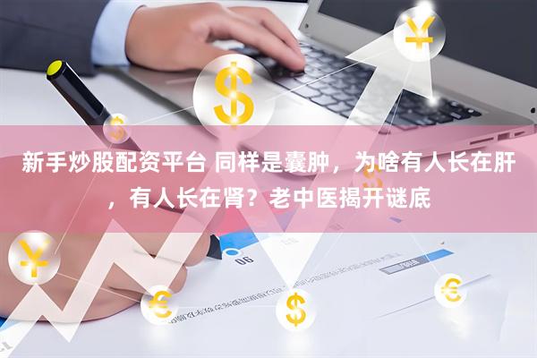 新手炒股配资平台 同样是囊肿，为啥有人长在肝，有人长在肾？老中医揭开谜底